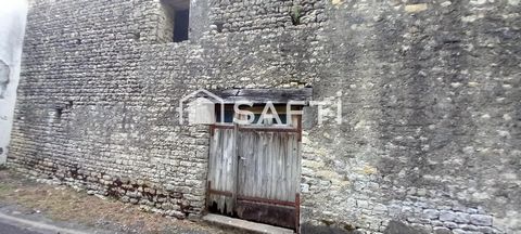 photo no. 6