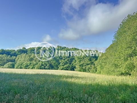 IMMONEW präsentiert Ihnen in der Stadt COULOUVRAY BOISBENATRE, ein wunderschönes Waldstück mit einer Fläche von 32627 m2, das in einem Stück verteilt ist, mit mehreren Arten und einer einfachen Zufahrtsstraße. Ein kleiner Teil des Ganzen liegt in der...