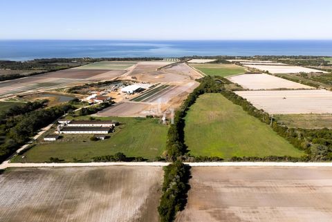 Located in Aljezur. Located in the charming area of Lavajinho, this property stands out for its vast 6.2-hectare mixed-use land. Previously used for agricultural purposes, the site still features old warehouses and infrastructures that bear witness t...