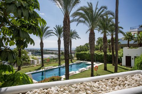 A golden opportunity has arisen to acquire one or two stunning apartments in the exclusive development of Altos de CortesÍn in the prestigious Finca CortesÍn Golf Resort which is hosting the elite international womens gold competition the Solheim Cup...