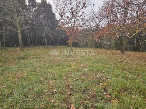 Ruim bouwland te koop op een aantrekkelijke locatie in Veliki Vrh. De totale oppervlakte van het land is 2.907 m², met het grootste deel in een helling, wat uitstekende mogelijkheden biedt voor het ontwerpen en bouwen van één of meerdere woongebouwen...