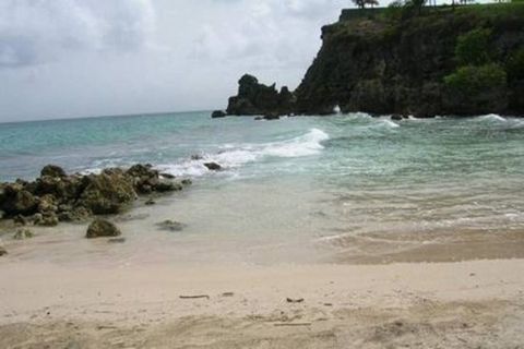 photo no. 2