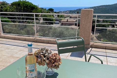 Prachtig, gedeeltelijk overdekt, groot terras op het zuiden, zwembad en GEWELDIG zeezicht op de Middellandse Zee, de baai van Saint Tropez en de groene heuvels