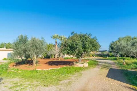 The house has a private 8x4m chlorine pool with a depth of 0.5m to 1.90m, ideal for cooling off on hot summer days. On the 6 sun loungers you can tan and enjoy the sun. On the terrace you will spend wonderful evenings with your loved ones. In additio...