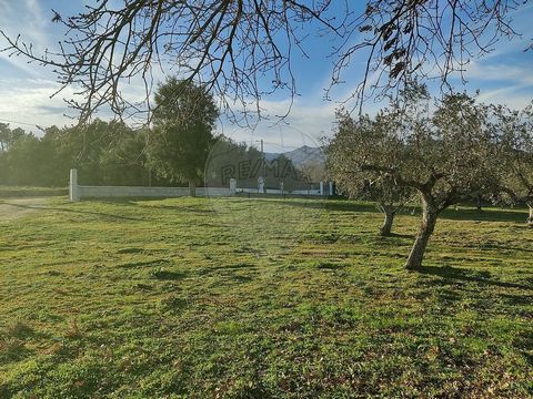 FERME (14 580,00 m2) AVEC PROJET APPROUVÉ POUR LE TOURISME RURAL, À TEIXOSO, COVILHÃ Caractéristiques principales : - projet approuvé avec licence délivrée et valable jusqu’en 07/2026 - tourisme rural - 3 articles matriciels - 2 bâtiments (villa de 3...