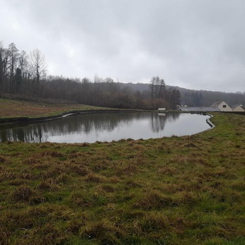 photo no. 6