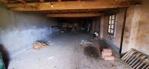 photo no. 12