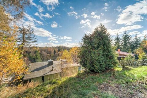 Esta casa de vacaciones modernamente amueblada le ofrece las condiciones ideales para unas vacaciones relajantes en el idílico balneario de Allrode en el Bajo Harz. La gran terraza de la casa es ideal para tomar el sol y se puede utilizar durante tod...