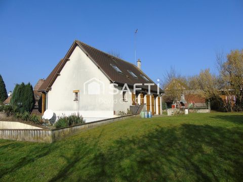 photo no. 7