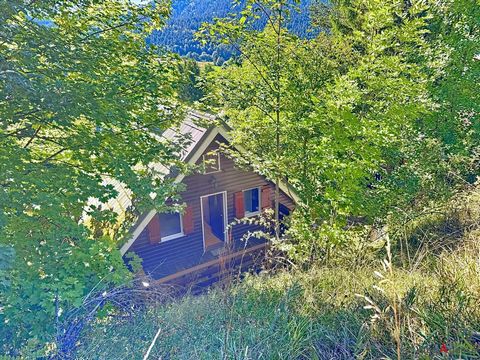 Chalet chaloin avec vue dégagée