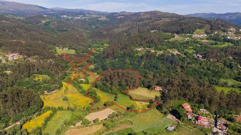 Land for sale next to the Ermal Dam, 10 minutes from Gerês and 15 minutes from the city of Braga, with about 15,000m2. In the surroundings we can find several tourist attractions, such as the Dam of Ermal, Dam of Caniçada, Peneda-Gerês National Park,...