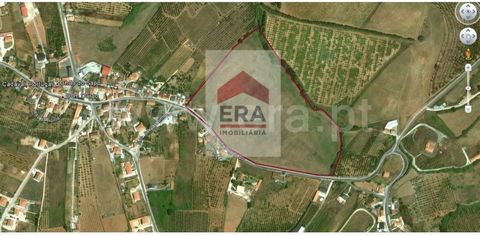 Land with 65,440m2, of which 25,000 m2 in Urban Soil-Urban spaces and Urban Soil-Spaces to be urbanized with the possibility of construction up to approximately 5400m2. 375 meters of roadfront. Optima sun exposure. Views of the Montejunto Mountain Ra...