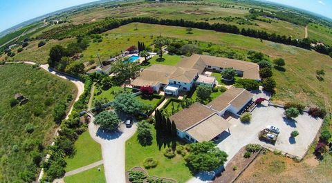 This Unique Luxury quinta/farmhouse is located in the area of Silves & Lagoa and offers a remarkable property experience. Situated on a plot of just under 6 hectares, this extensive property guarantees complete privacy for its residents. Upon enterin...