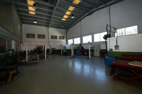 Warehouse situated in Nueva Andalucia in the industrial zone with possibility to use as commercial space or for light industry.The property is divided into different areas and sections and has a good frontage to the street. There is a large basement ...