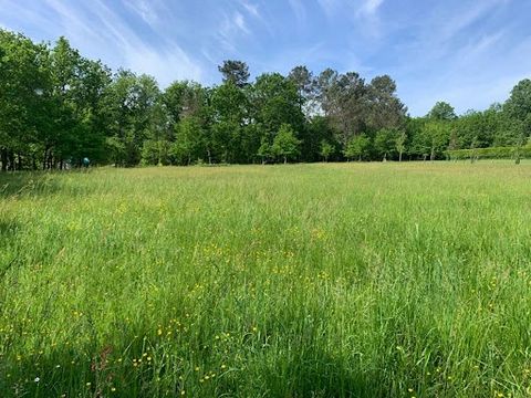 Flat building plot 4424 m2 This land offers a great opportunity to live in the quiet countryside 15 minutes from Ribérac, 15 minutes from Mussidan and 35 minutes from Périgueux Flat and partially wooded land with access from a communal road. Unbounde...