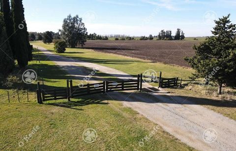 Fält på 1520 hektar till salu - 80% Jordbruk med otroliga förbättringar i Lobería   Plats: Fältet ligger på väg 227 i Partido de Lobería. 5 km från tillgång till staden.   Avstånd till relevanta punkter. - CABA 470 km - Quequéns hamn 57 km - Mar del ...