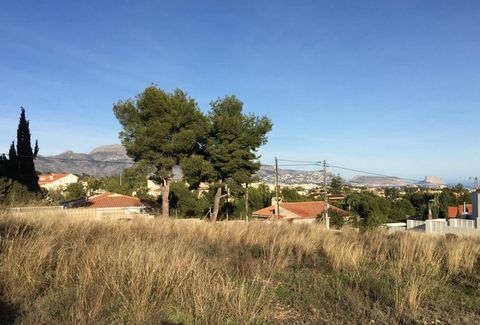 ▷Flat land in La Nucía - 1000m2. Barranc Fondo District, with Mountain Views. Less than 7km North of the Beaches and Amenities of Benidorm. Contact us: Montesinos Falcón Real Estate in Moraira, Costa Blanca