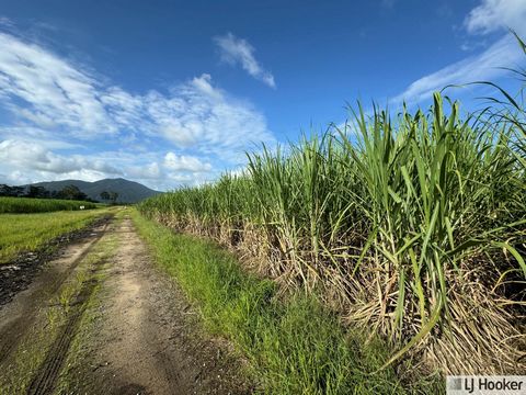 This multi-generational family farm is an approx. 81.15 hectare sugar cane farm located in Euramo which is only 10 minutes south of Tully. With roughly 70 hectares under cane, the property produces on average around 5000 – 5500 tonne. There are two l...