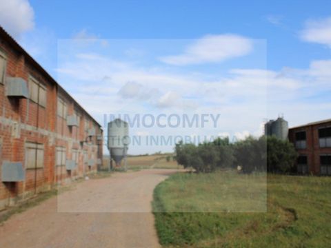 Warehouses for sale between St. Sadurni de l'Heura i Cruilles, with 22.406 m2 of land and 4098 m2 built. It has three warehouses, two of them are double floors and one is single-storey, as an extra there is a hut with a fireplace and a porch for mach...