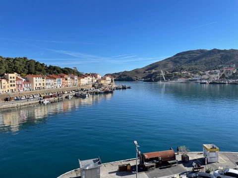 Sale of this large apartment for a T1 in the town of Port-Vendres. Contact your Paradise Collioure International Real Estate agency now if this apartment has caught your attention. Magnificent, sunny view to Seize Balcony where table and two chairs c...