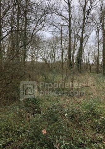 Plot of wooded land of about 6000 m2, on the banks of the river less than 5 minutes from Samadet. Selling price: 9990 euros excl. VAT (Including 3990 euros TTC of fees to be paid by the buyer i.e. 66.5%) Price excluding fees: 6000 euros To visit and ...