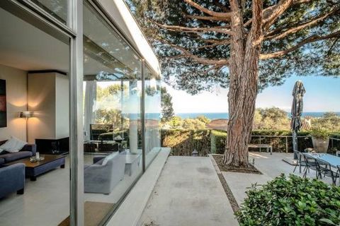 In the coveted environment of Cap-Ferrat, mere steps from the renowned Grand Hotel du Cap-Ferrat, lies this striking contemporary villa. Measuring a generous 250 m² of interior space, the villa is set on an impressive 3600 m² meadow land, showcasing ...