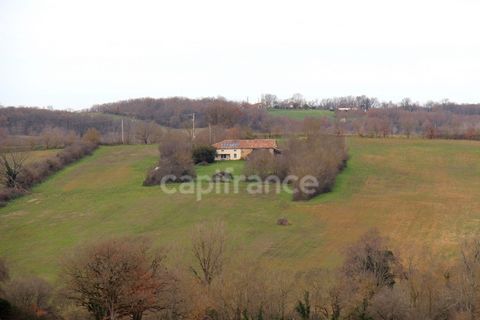 Dpt Tarn et Garonne (82), à vendre proche de BEAUMONT DE LOMAGNE ancienne ferme rénovée de 300 m2, avec dépendances, sur terrain de 12 hectares