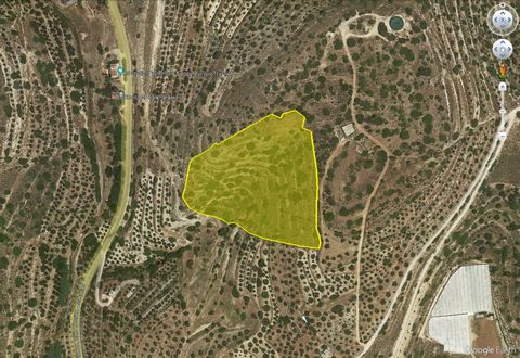 Located in Ierapetra. Large building land, 20,386 m2 in size, nicely positioned on the slope of a hill, north of the coastal town of Ierapetra, at the south coast of Crete. From its elevated position, the land enjoys distant views of the sea, the hil...