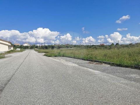 Description In the friendly village of Lajeosa do Dão, whose boundaries are inscribed between the slight depression of the Ribeira de Asnes and the line of ridges overlooking the left bank of the Dão River, we have for sale a Plot of Land for constru...