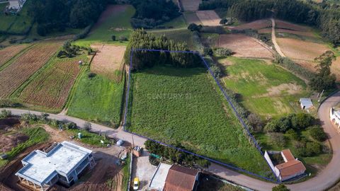 Located in Campelos, on the outskirts of Torres Vedras, this property spans 9000 m2. With construction feasibility of approximately 3000 m2, it is situated just a few meters from the national road and various amenities such as shops, restaurants, sch...