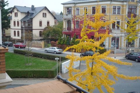 The Villa Fiedler is about 4 minutes walk to the tram, also to the S.-Bahn (Meißen, Leipzig, etc.) in the quietest location of the Villenort Radebeul. The Dresden city center can be reached by car in a few minutes. They have the winegrowers, Hoflößni...