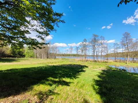 Exclusive to us: * Naguszewo, Działdowo County, Rybno Commune * plot in the process of obtaining development conditions * area 3419 m2 *plot number 131/3 *electricity and water on the way *access via a paved road *in the vicinity of the Habitat of th...