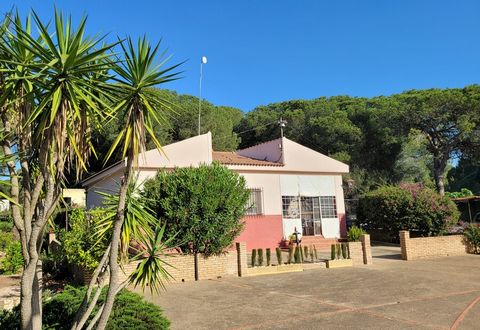 This three bedroom  country home has been updated over the years by the current owners. The house is located just five kilometres from the country town of Bonares in a rural position on rustic land.The house comprises of large covered entrance porch/...