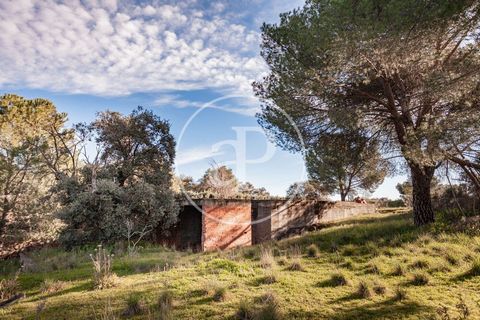 IDEAL PLOT TO BUILD A HOUSE Spectacular plot for sale in the exclusive Monte de las Encinas Urbanization (Boadilla del Monte) ideal for building your dream home. The plot, with an area of 3.576 m², is in a privileged location, in an enviable environm...