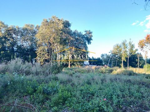Nice plot in a beautiful area. It is located in the idyllic surroundings of the Zegrzyński Reservoir and the Bug River. 10 min. to Serock. In a quiet and peaceful place surrounded by year-round and summer houses. The Bug River is a 5-minute walk away...