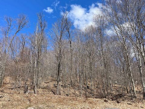 4.6 acres of stunning wooded land bordered on two sides by Crown Land and with access to Lake Gustave (non-navigable) directly across the road. Located at the very end of ch. du Lac-Gustave you will find this newly created double-lot offering enormou...