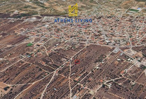 For sale, Land plot Under city plan integration, in Kalivia Thorikou - Center. The Land plot is , it has 14,34 m. facade length, 48,07 m. depth, the building factor is 0,5. The maximum building allowance is 279 sq.m.. It is suitable for Allowance, Re...