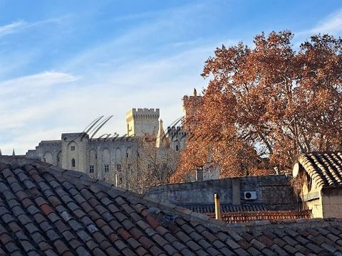 L’agence Marie MIRAMANT, spécialisée en immobilier de caractère et d’exception, vous présente dans un quartier calme du centre d’Avignon, une maison d’origine 17ème, entièrement restaurée, d’environ 200 m². Tout en élégance et sobriété, elle peut s’a...