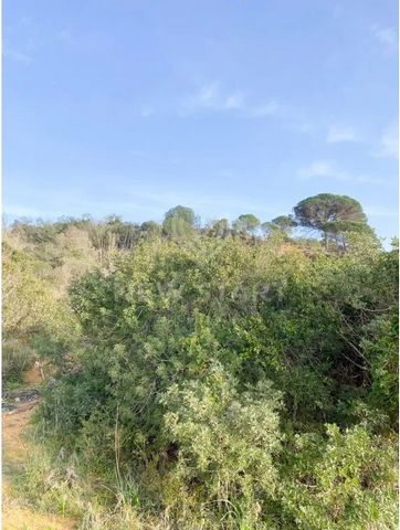 Rustic land with 1.2 Ha for sale in a quiet area, with a stream in the background, with a pleasant slope and an unobstructed view. An application can be submitted to Albufeira City Council for Rural Tourism. Energy Rating: Exempt Rustic land with 1.2...