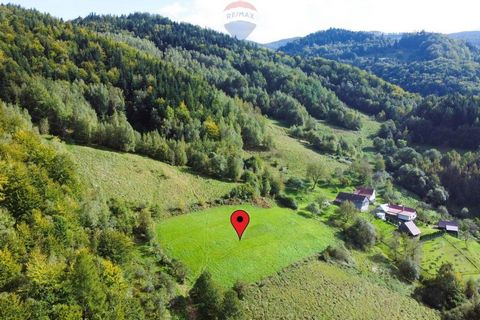 I have the pleasure to present a beautiful scenic plot in one of the most popular places in the Nowy Sącz region with the legendary largest waterfall in the region, i.e. the Great Waterfall. Do you already know which part I'm talking about? Plot no. ...