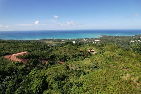 ¡Terreno en Venta con Vista al Océano y Montañas! Área: 7.000 m² Ubicación: A solo 10 minutos del centro de Las Terrenas y de las playas. Este increíble terreno ofrece acceso para vehículos, disponibilidad de agua y electricidad, y está listo para co...