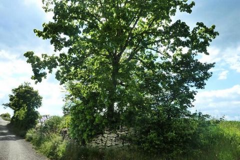 dla samochodów kempingowych. W tym małym zakątku raju, niedaleko La Canourgue, gdzie spokój i przyroda tworzą cały urok miejsca zwanego Le Montet, starego, odnowionego domu wiejskiego. składający się z dwóch gîtes. Na parterze: wejście do domu „La Pr...