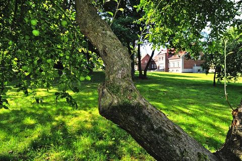 Luxuriöse 5 Sterne Ferienwohnungen im renovierten Gutshaus Zicker auf der idyllischen Halbinsel Zudar im Süden Rügens. Sie wohnen nur 600 m von der Ostsee entfernt inmitten ruhiger, bewaldeter Natur. Auf dem 16.000 qm großen Parkgrundstück des Gutes ...