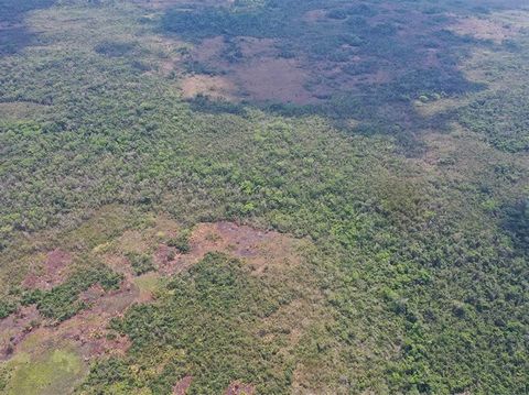 Situada en el diseño agrícola de Frank's Eddy en el distrito de Cayo se encuentra esta propiedad de 25.216 acres en Belice.  Escondido a solo 1.2 millas de la autopista George Price, la primera .8 millas es manejable, mientras que para llegar a la pr...