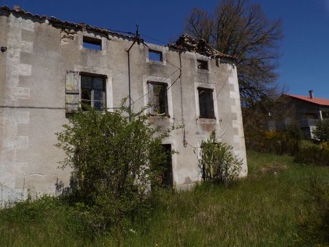 photo no. 1