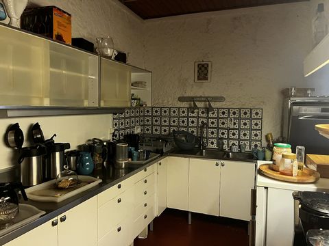 photo no. 6