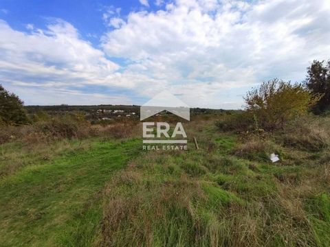 EXCLUSIVE! ERA Varna Trend offers for sale a large plot of land with a face of 70 m on a main asphalt road, in the area of Chereshova Gradina in the village of Benkovski, Varna region. Varna. The plot has an area of 5,756 sq.m according to the title ...