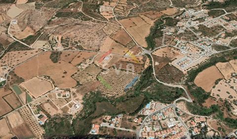 For sale, Land Area, in Tala. The Land Area is Flat, the building factor is 30 and the coverage ratio is 25%, with a maximum building height of 10 m., in Residential. Price: €3.000.000. SVA Estates