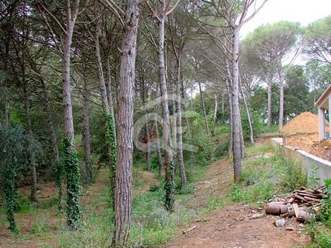 Terreno arbolado, muy plano con una pendiente suave, en la parte más lejana de la urbanizacion de Mas Pere. Ésta urbanización está recién acabada de recepcionarse por el ayuntamiento de Calonge, con lo cual las calles están completamente acabadas, co...