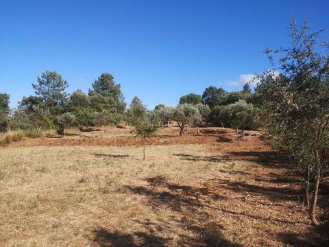 Rustikales Grundstück mit einer Fläche von 3000m2 im Dorf Tinalhas. Reguläres Land mit Obstbäumen und Olivenbäumen, 1 Brunnen und 1 Teich und Strom in der Nähe. Es verfügt über ein landwirtschaftliches Stützhaus. Gute Anbindung aufgrund seiner Lage n...